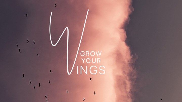 【2023-3-2 10点场】丶尛禹丶:王者荣耀S30赛季铂金段位直播