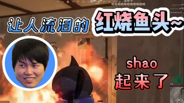枫哥shao起来了 好一道红烧鱼头 你加了洋葱！