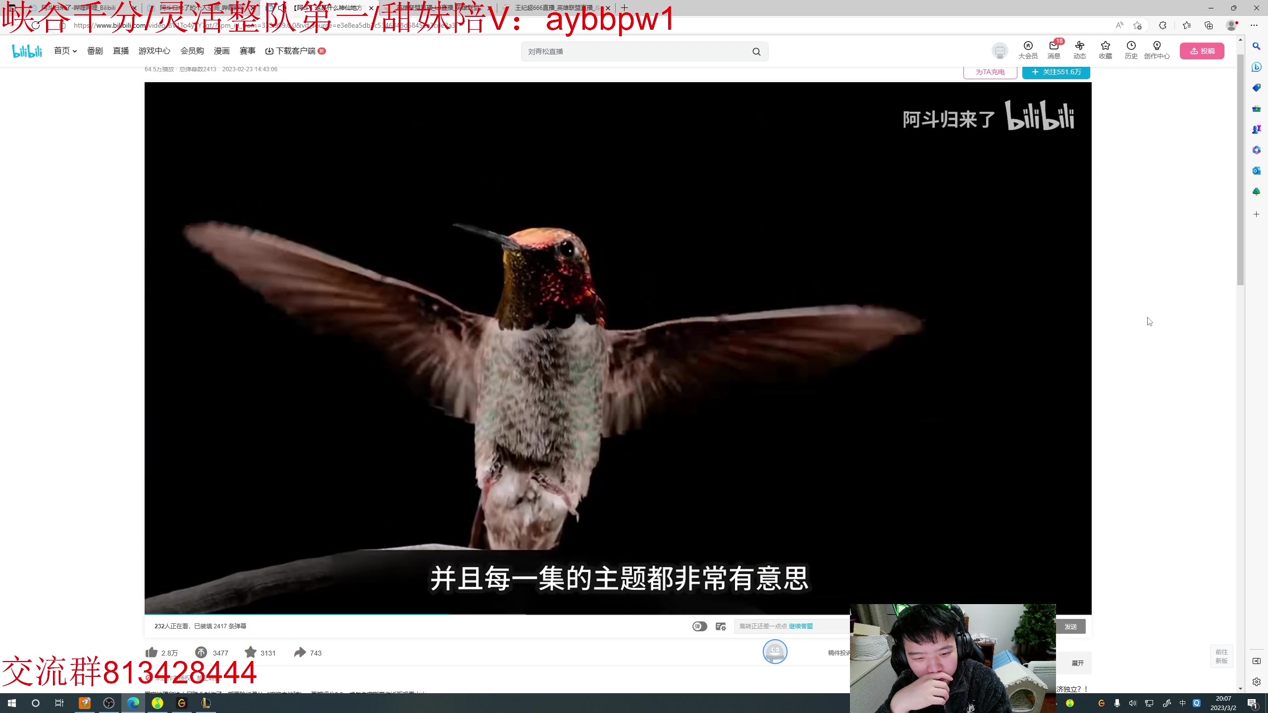 【2023-03-02 19点场】一家之猪ovo：峡谷已千分  冲第一！