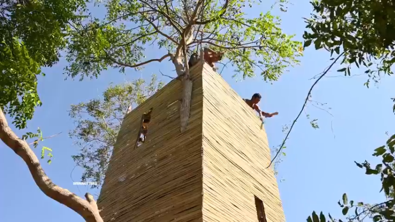 【2023-03-01 22点场】棒老三：一周嘿报：我欲成仙！