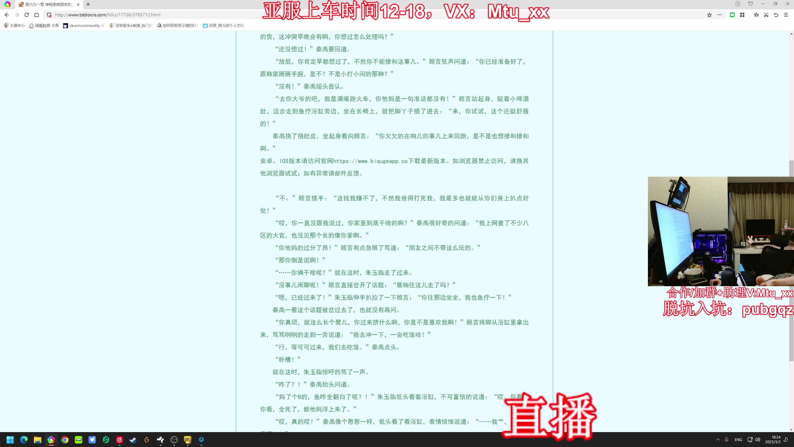 【2023-03-03 17点场】顶级菊宝a：【菊花】直播中