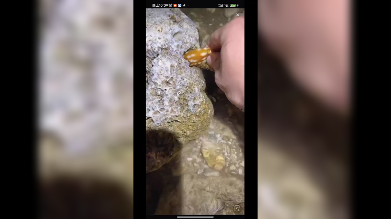 在海南赶海，发现石头里藏了一个，拿不出