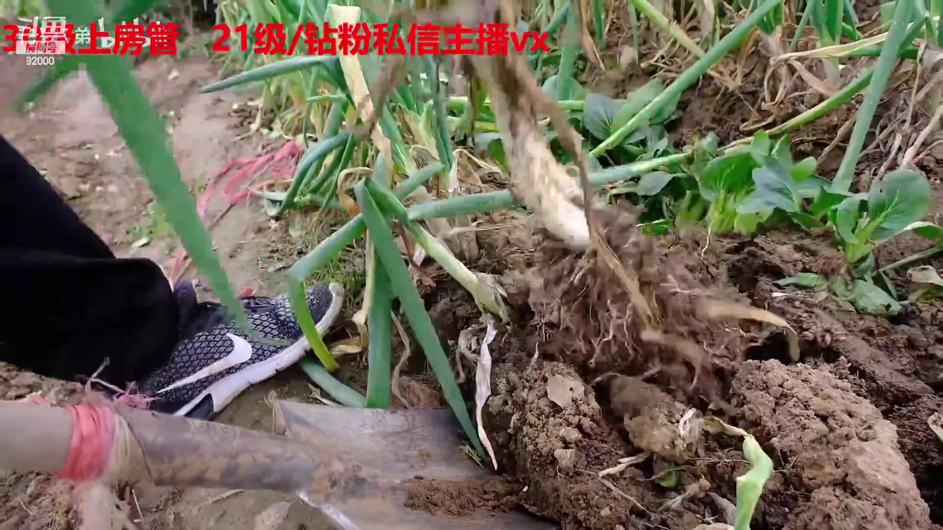 【2023-03-03 09点场】呆妹儿小霸王：【呆妹】一起see