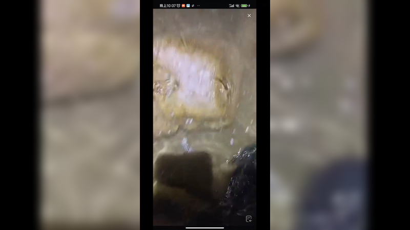 在海南赶海发现一个很丑的石头蟹，一般人不敢吃