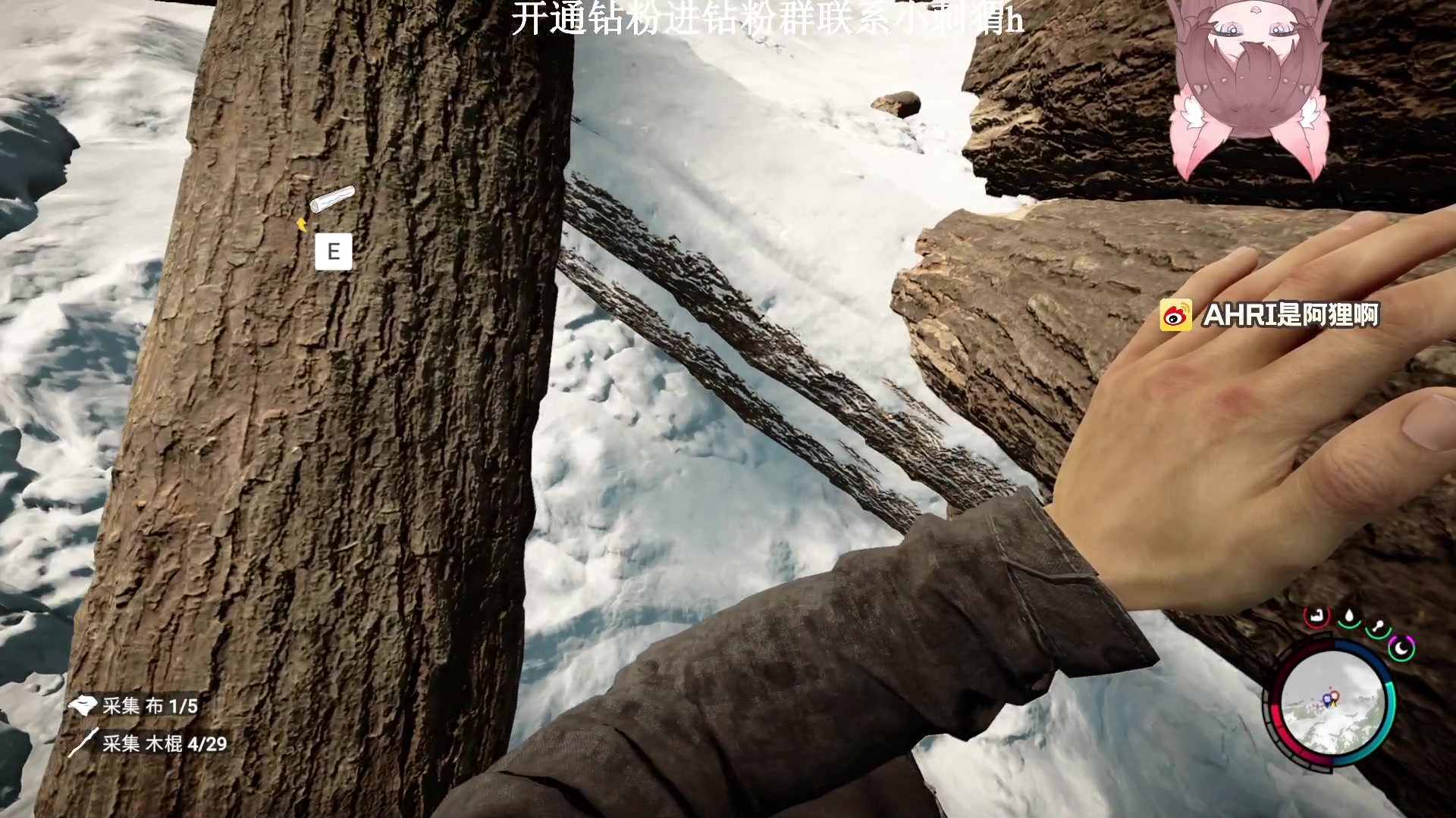 【2023-03-03 01点场】地表最强狸仔仔哟：瓦妹快乐指南又来啦