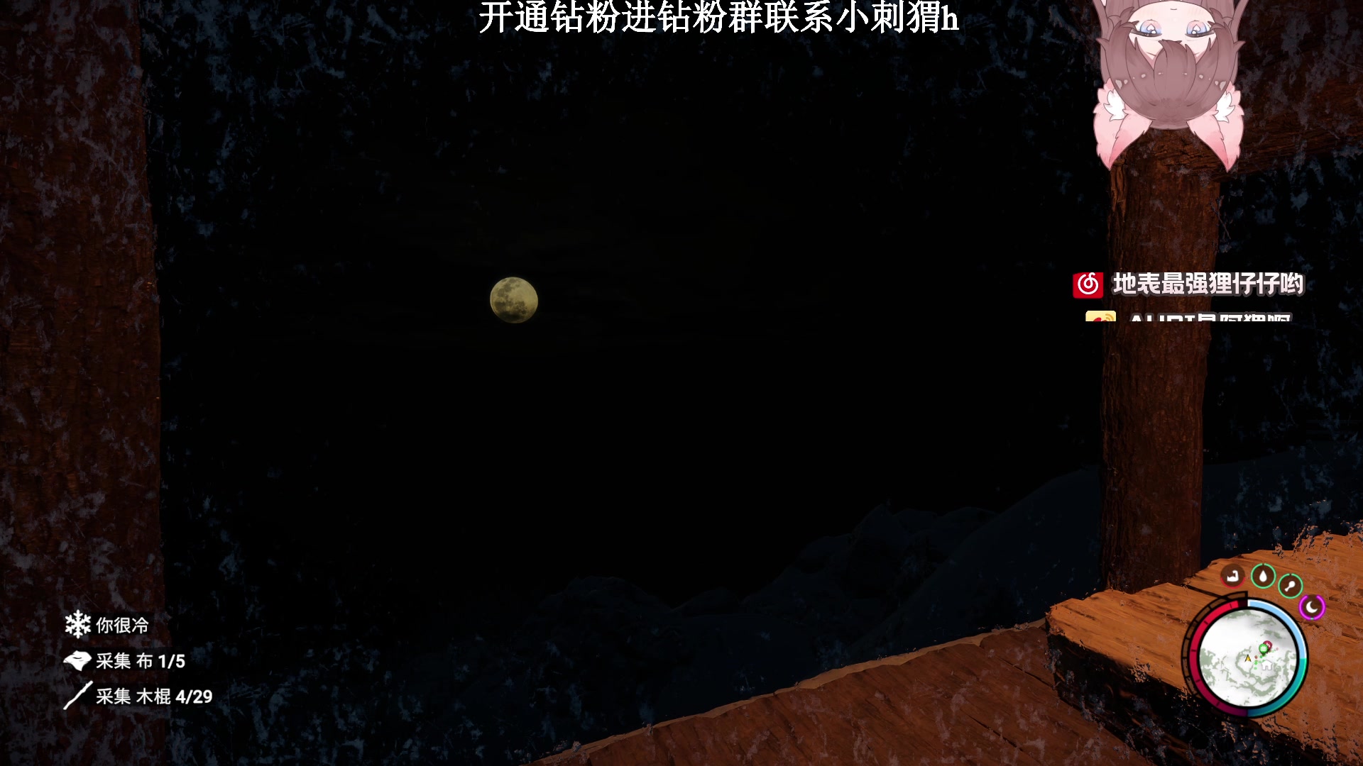 【2023-03-02 23点场】地表最强狸仔仔哟：瓦妹快乐指南又来啦