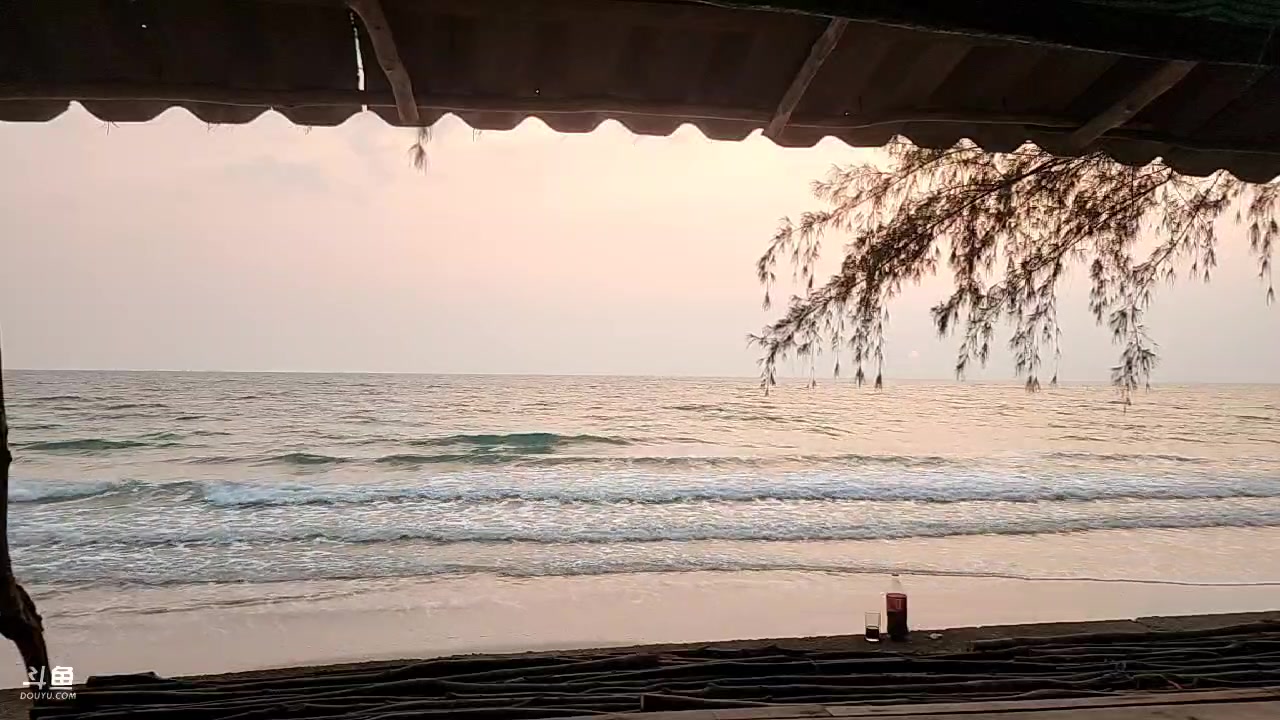 【2023-2-23 18点场】叶子户外:泰国边境线day8