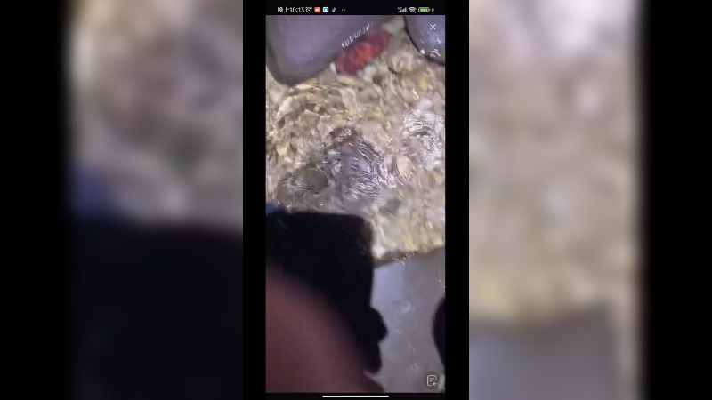 在海南赶海，到处都是海鲜，海参好多啊