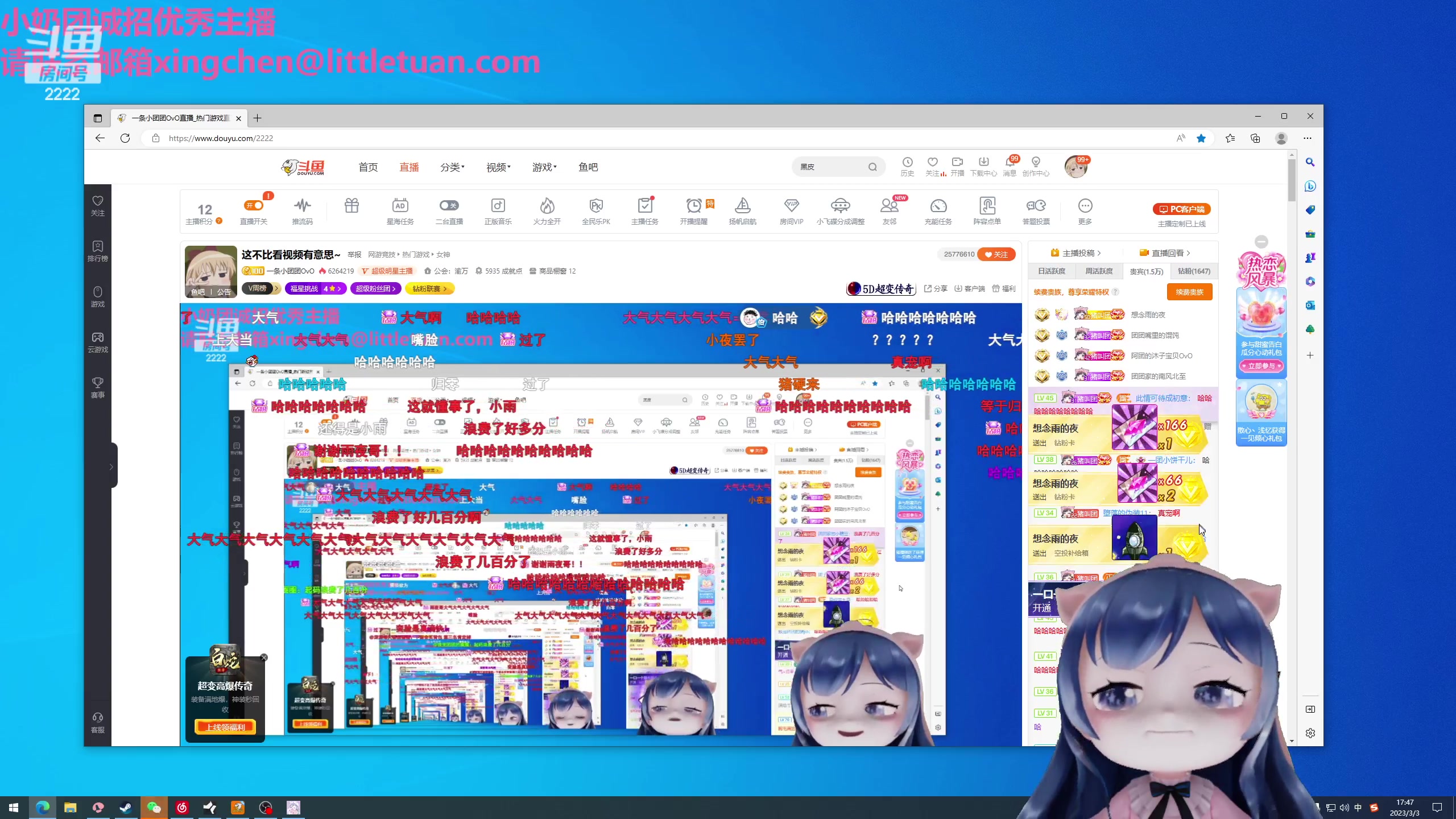 【2023-03-03 17点场】一条小团团OvO：这不比看视频有意思~