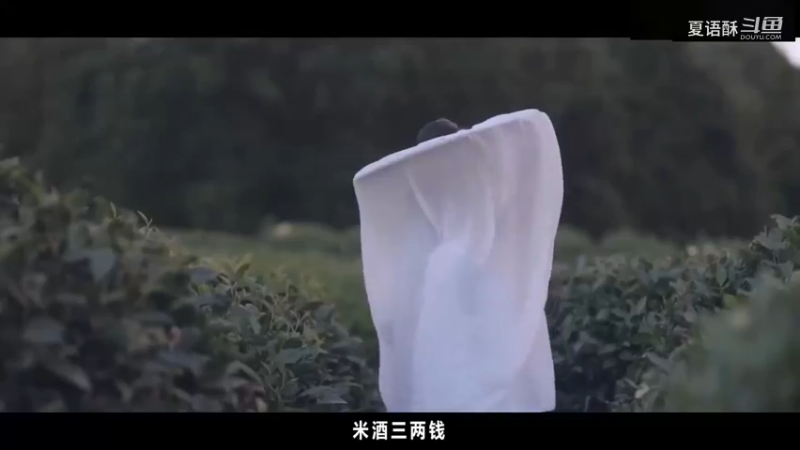 我在等风也等你-混剪