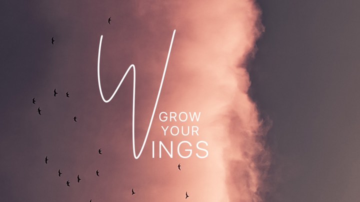 【2023-3-4 20点场】丶尛禹丶:王者荣耀S30赛季砖石段位直播