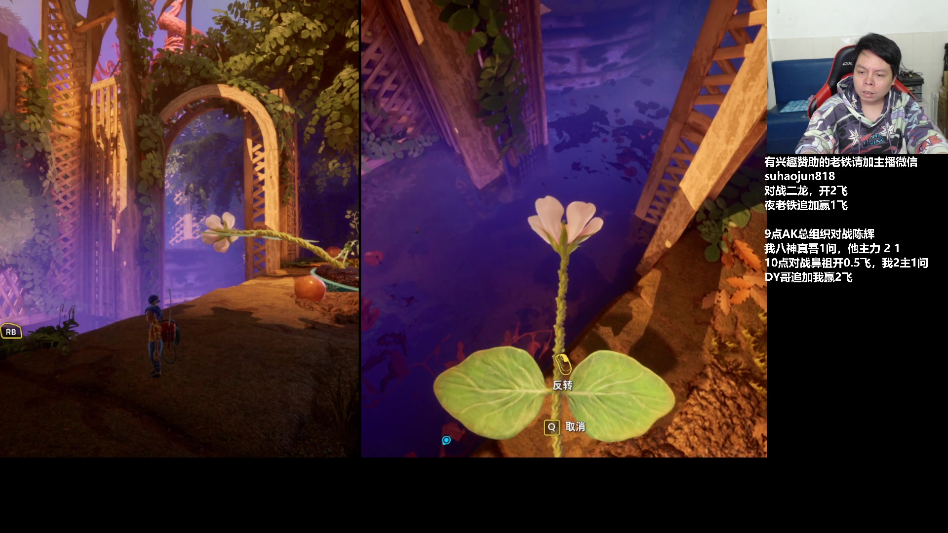 【2023-03-04 00点场】格鬦家大口：憧憬大口：憧憬传媒独家冠名！