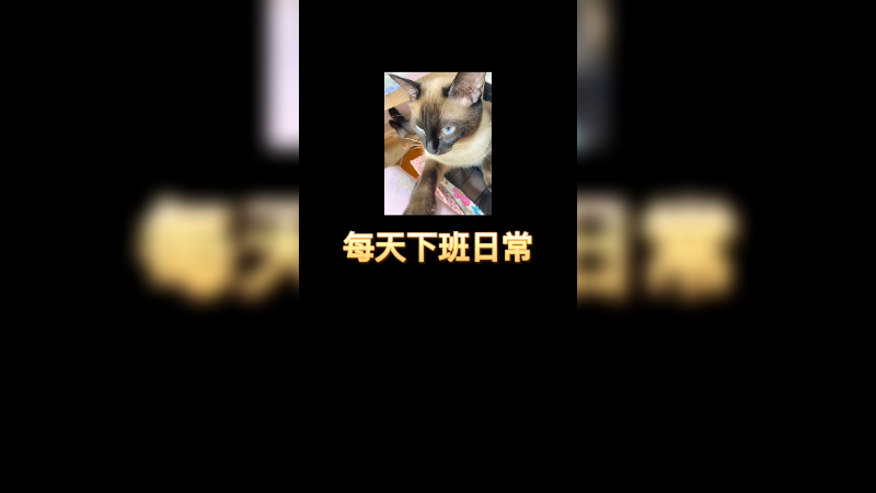 【小樱】樱樱子和乔巴的下班日常