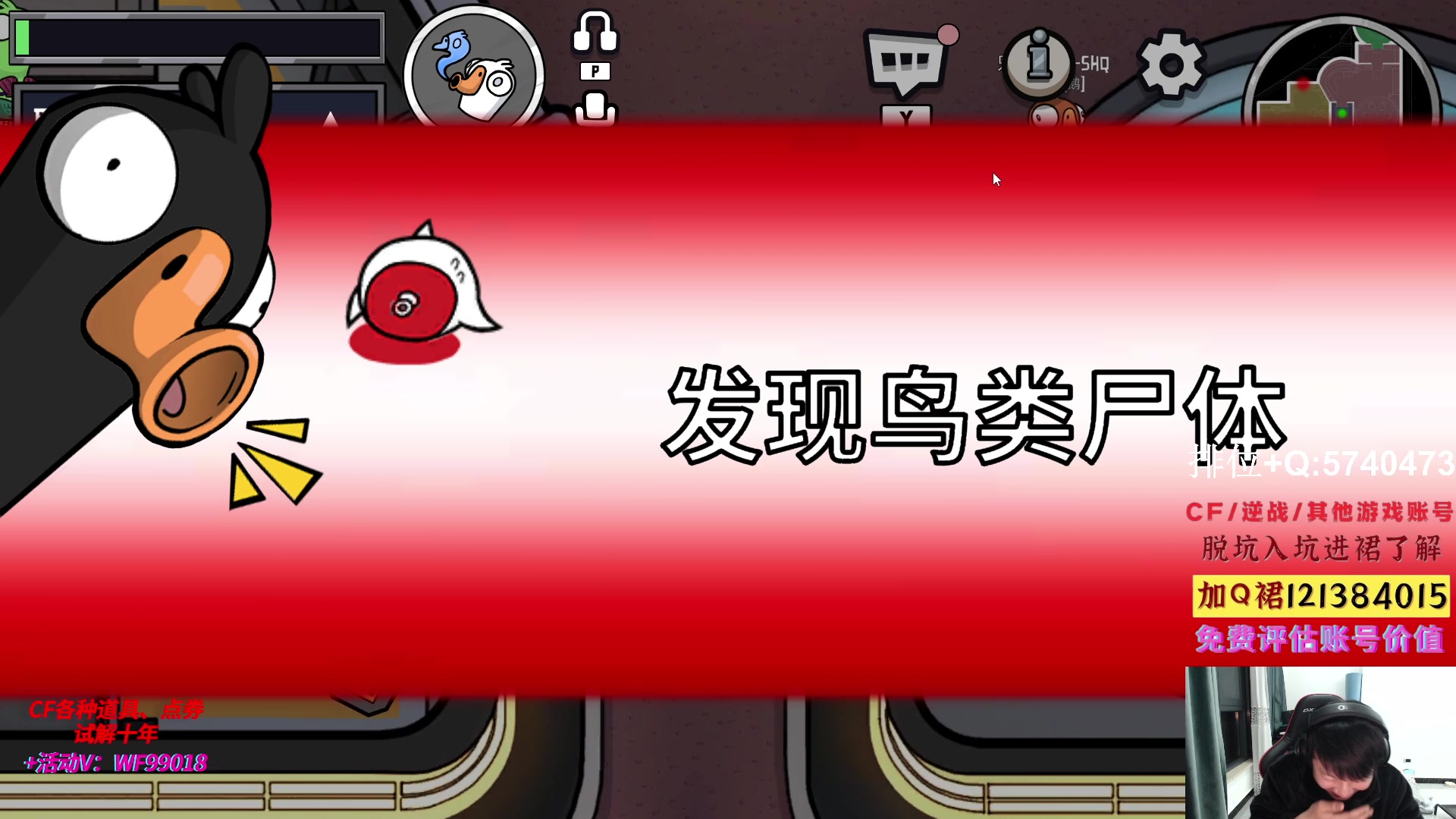 【2023-03-04 01点场】白鲨xiubi丶：最近几天有点忙会迟到一点