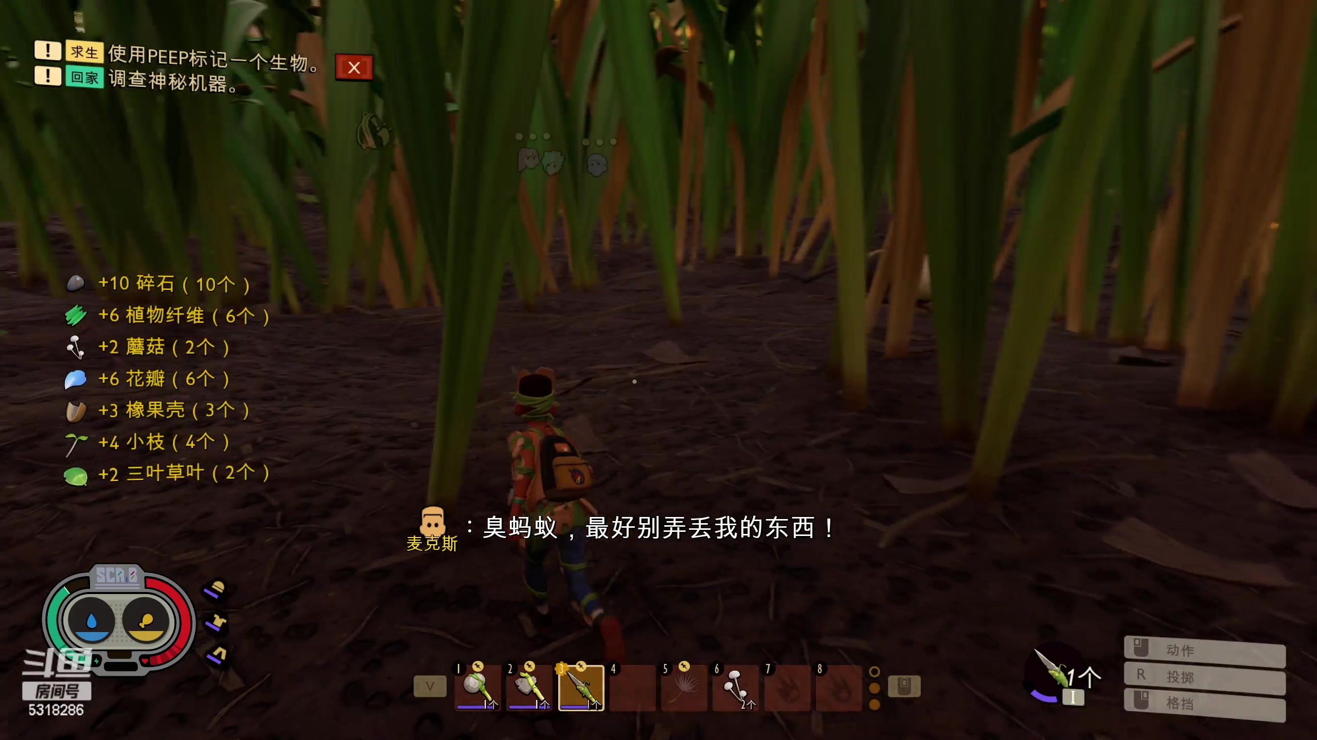 【2023-03-04 18点场】菜到极致小兰摧：兰崽进化记 积极努力 早睡早起