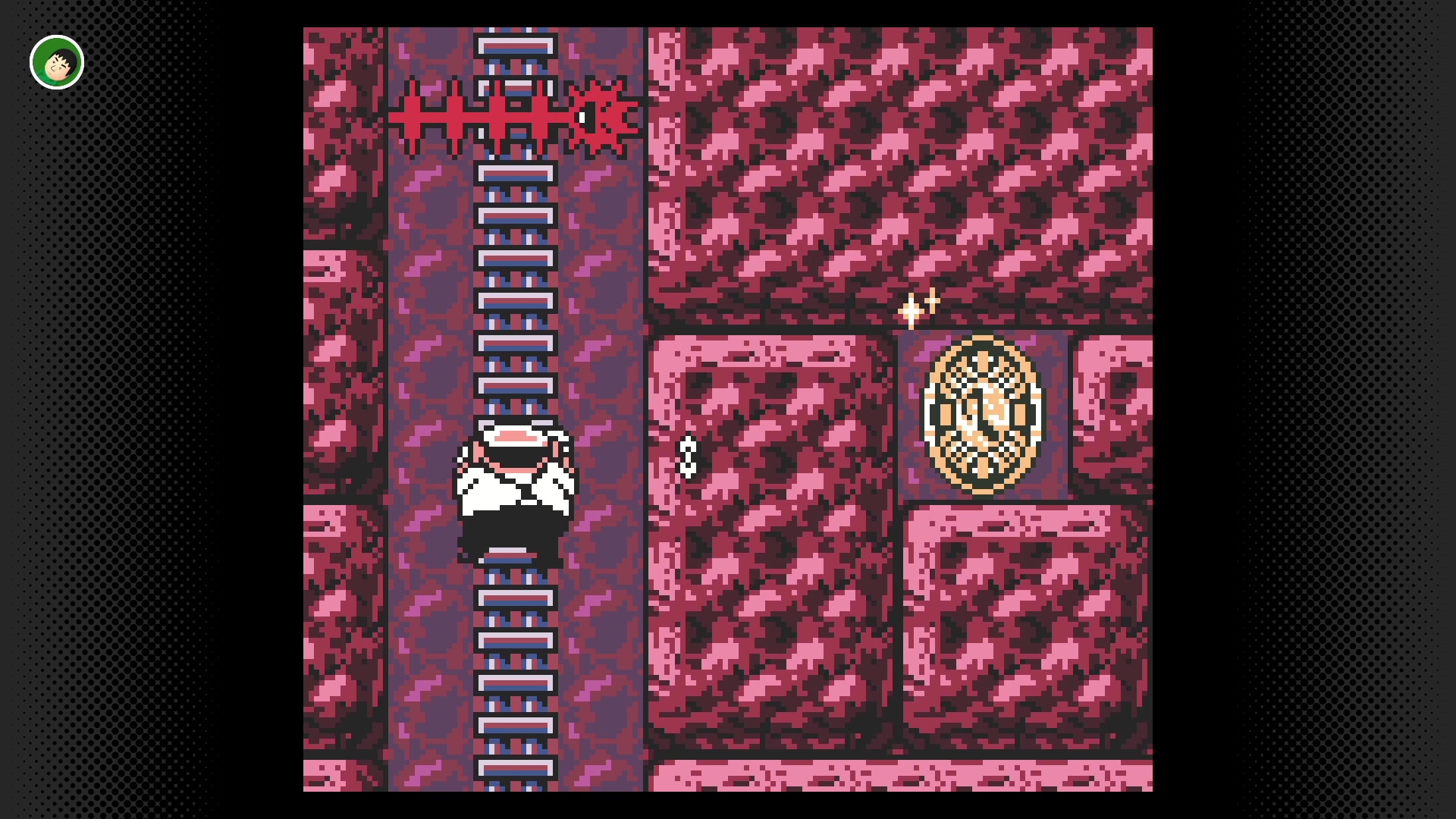 【2023-03-03 23点场】KazeLink：主播开发游戏去了 随缘开播