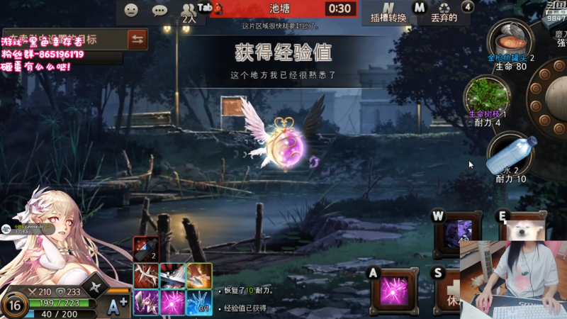 【弈仙牌】丶干物喵的精彩时刻 20230305 08点场