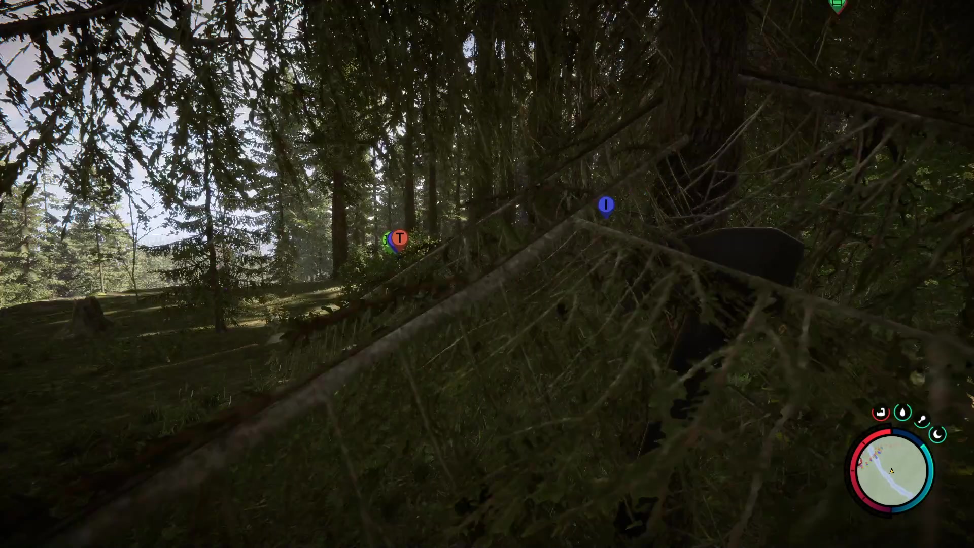 【2023-03-05 20点场】一只猛龙丶：勇敢龙龙|不怕困难