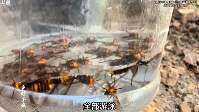 【英雄联盟】胖胖灬的精彩时刻 20230306 04点场