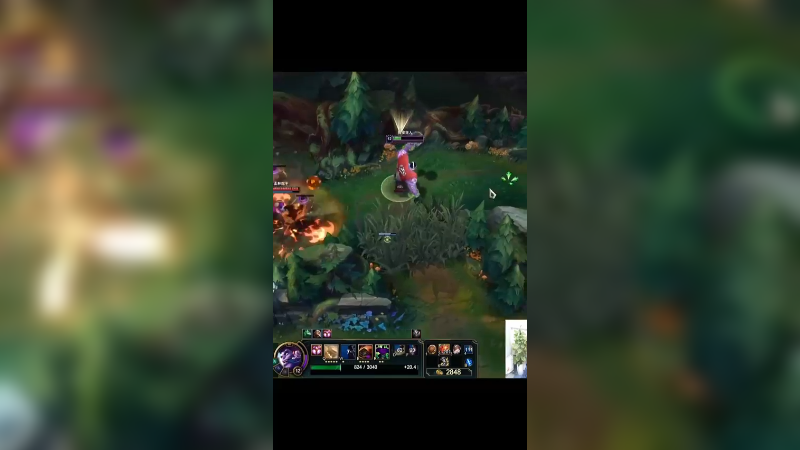 不敢想象如果蒙多配合新版本的猫会有多厉害