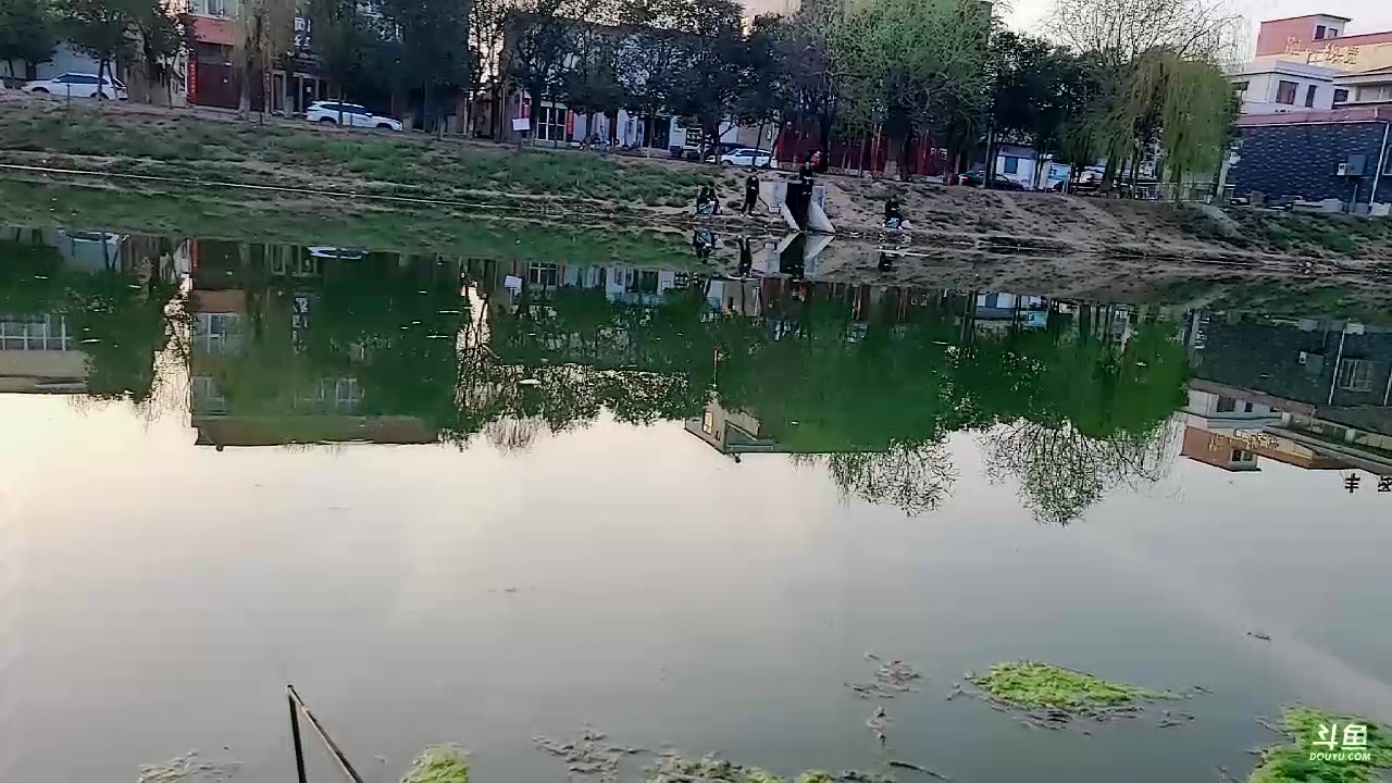 【2023-03-07 17点场】郑伟丶：娱乐性技术主播