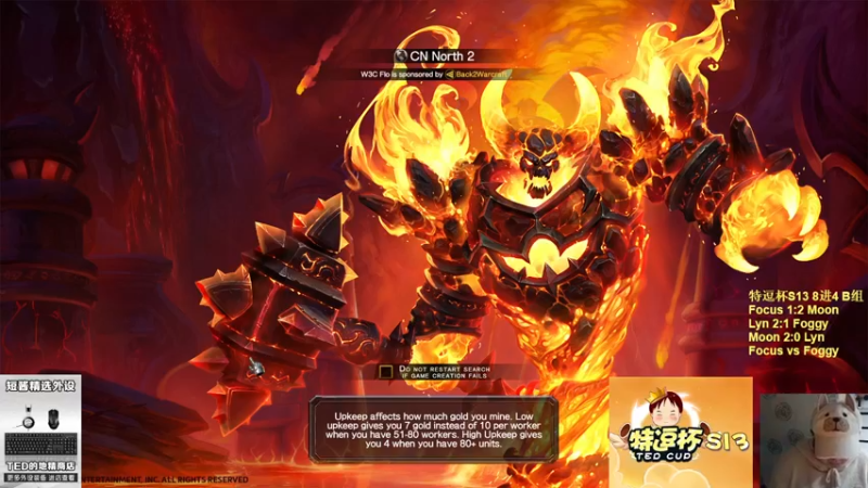 【TED出品】特逗杯S13 8进4败者 Focus vs Foggy 求心理阴影面