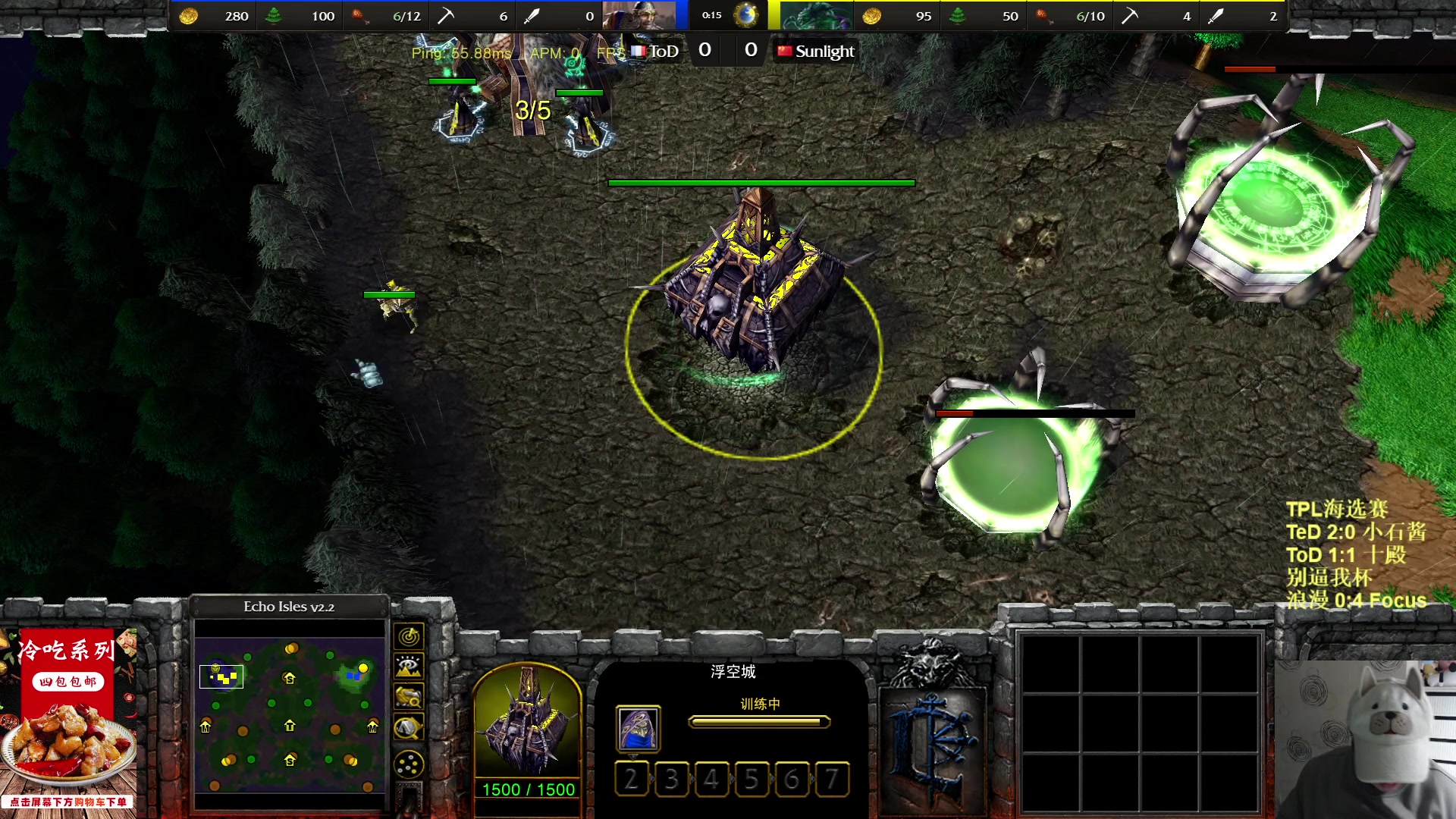 【2023-03-08 20点场】War3TeD：【直播中】7点TPL海选赛