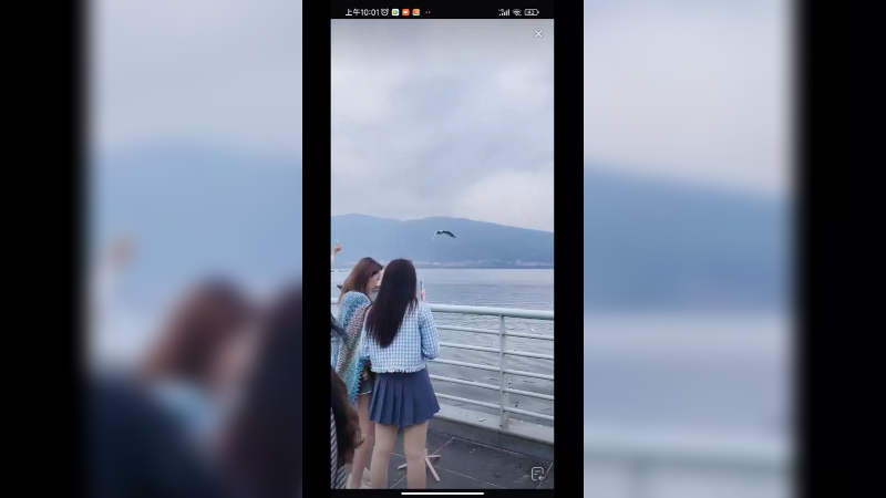 很多人来昆明喂海鸥，和海鸥合影