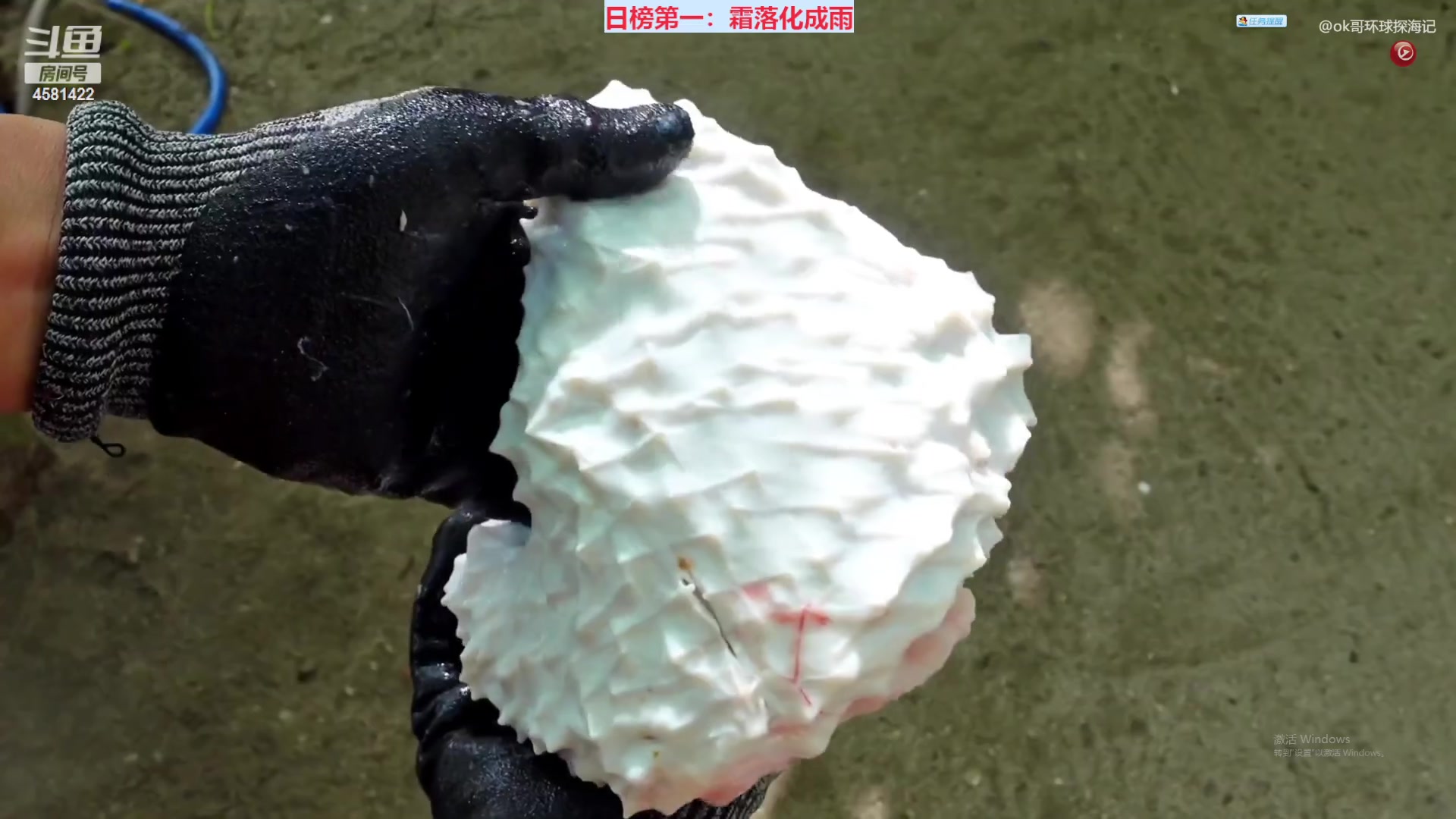 【2023-03-08 22点场】迷人的卿姐姐i：欢乐的时光开始啦 4581422