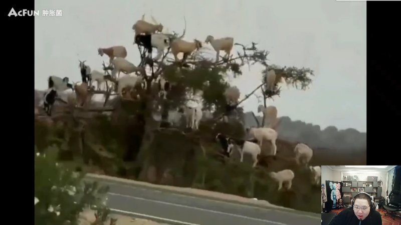 【英雄联盟】即将拥有人鱼线的PDD的精彩时刻 20230309 00点场