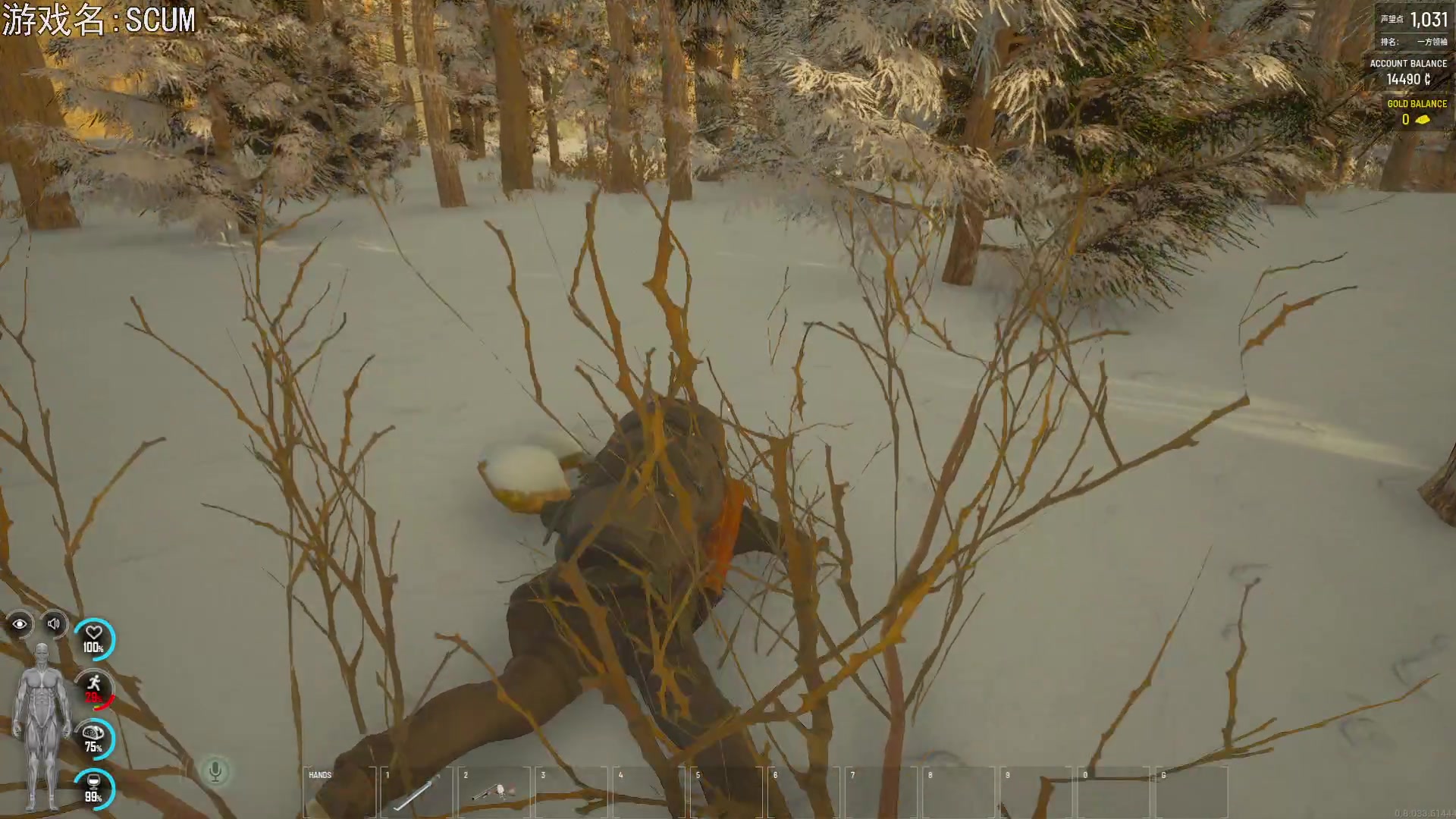 【2023-03-09 21点场】巴格拉斯：热爱生活，走进巴叔