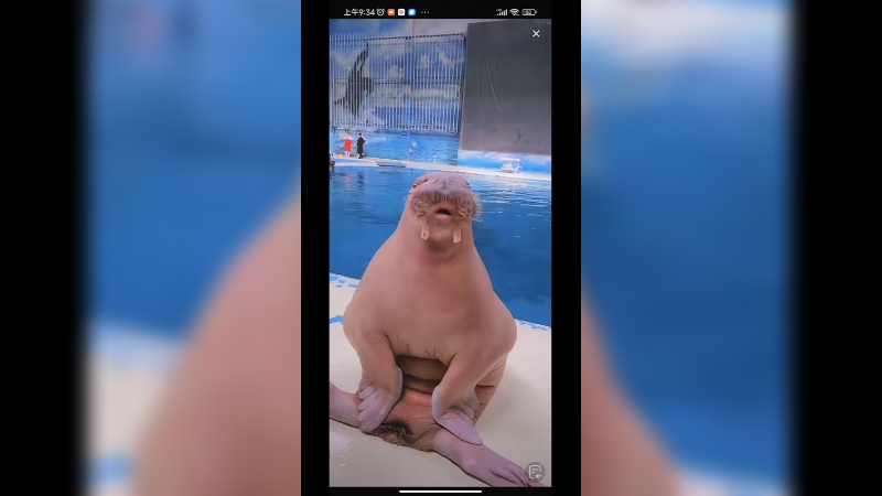 海象好喜欢吃小鱼啊