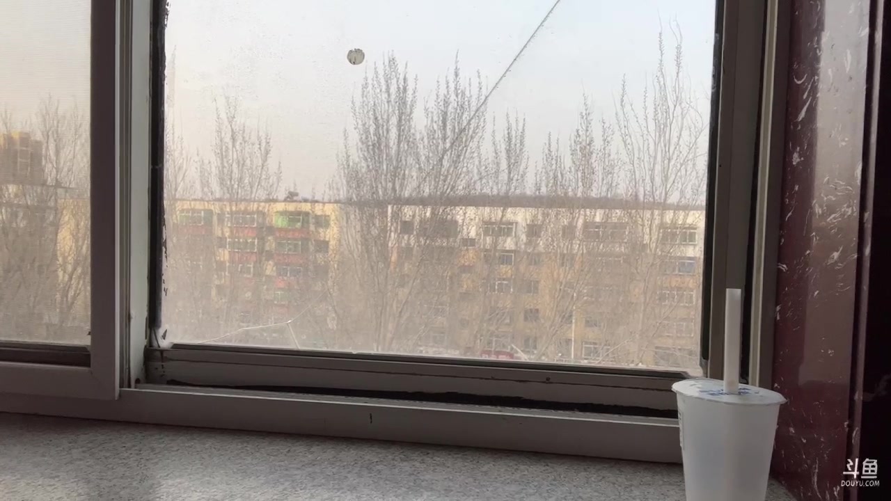 【2023-03-09 16点场】黑欢喜：全流了。。。。