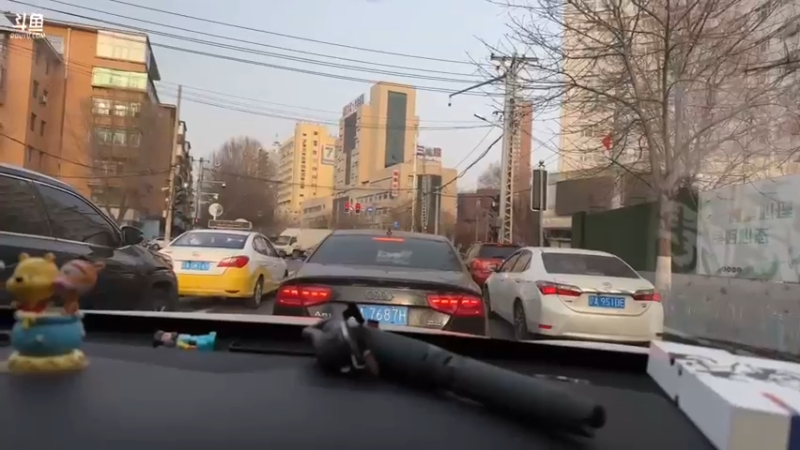 【2023-03-10 16点场】黑欢喜：粉丝聚会最后一天沈阳一日游。