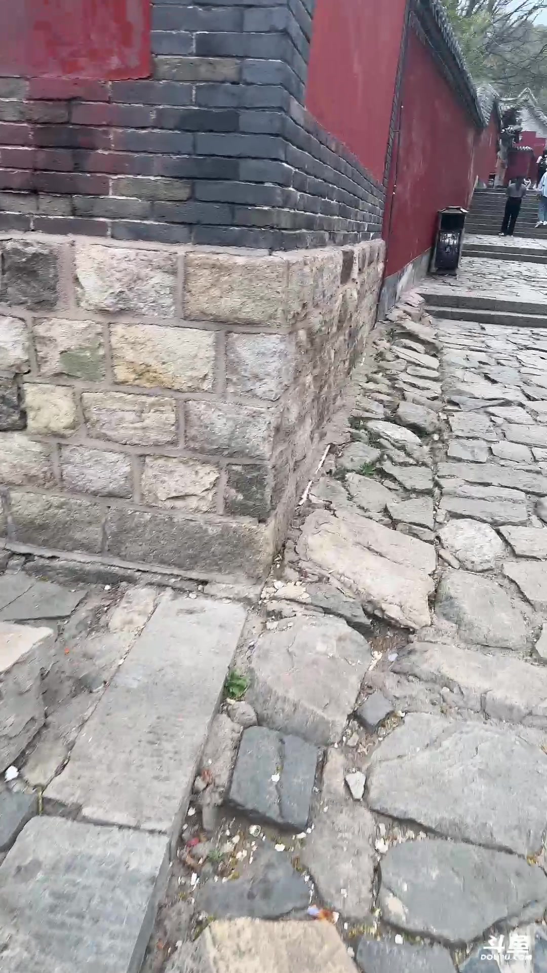 【2023-03-10 17点场】沐沐Ccccc：巅峰赛冲前十！！