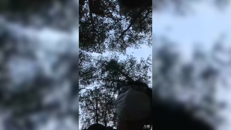 【2023-03-10 18点场】沐沐Ccccc：巅峰赛冲前十！！