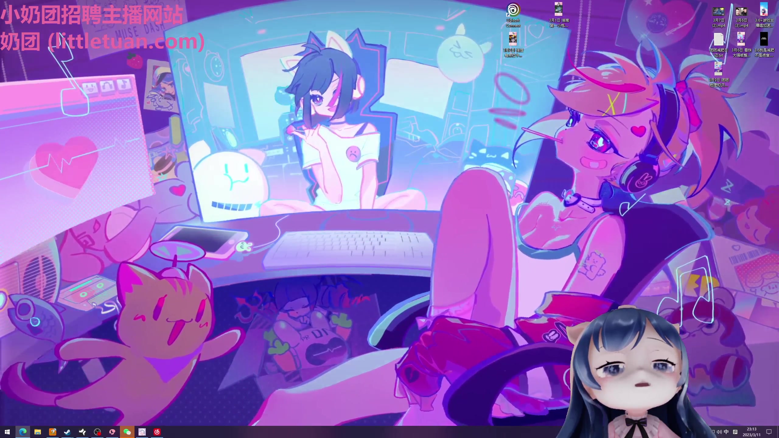 【2023-03-11 23点场】一条小团团OvO：这不比看视频有意思~