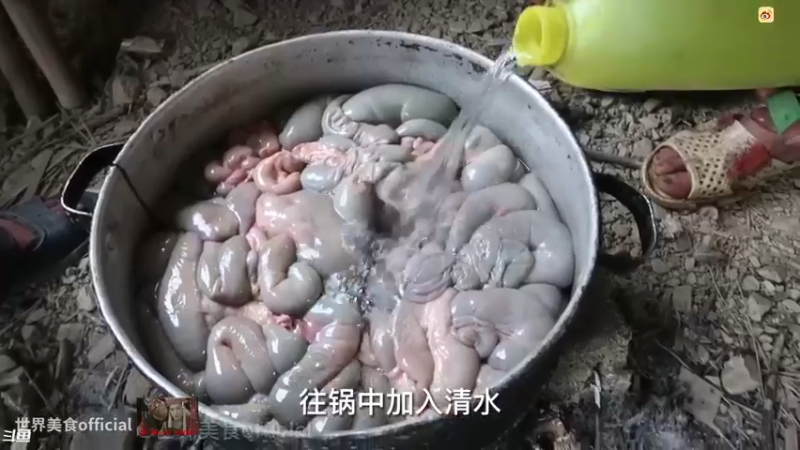 【2023-03-11 19点场】主播秋山澪丶：复古像素2D佳作：歧路旅人2