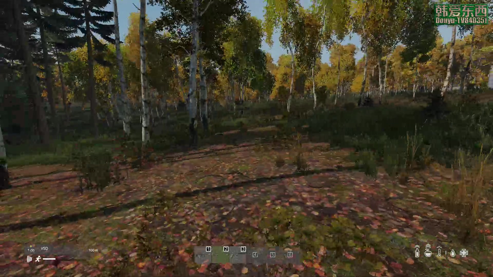 【2023-03-12 17点场】dayz韩爱东西：纳马斯克荒岛余生