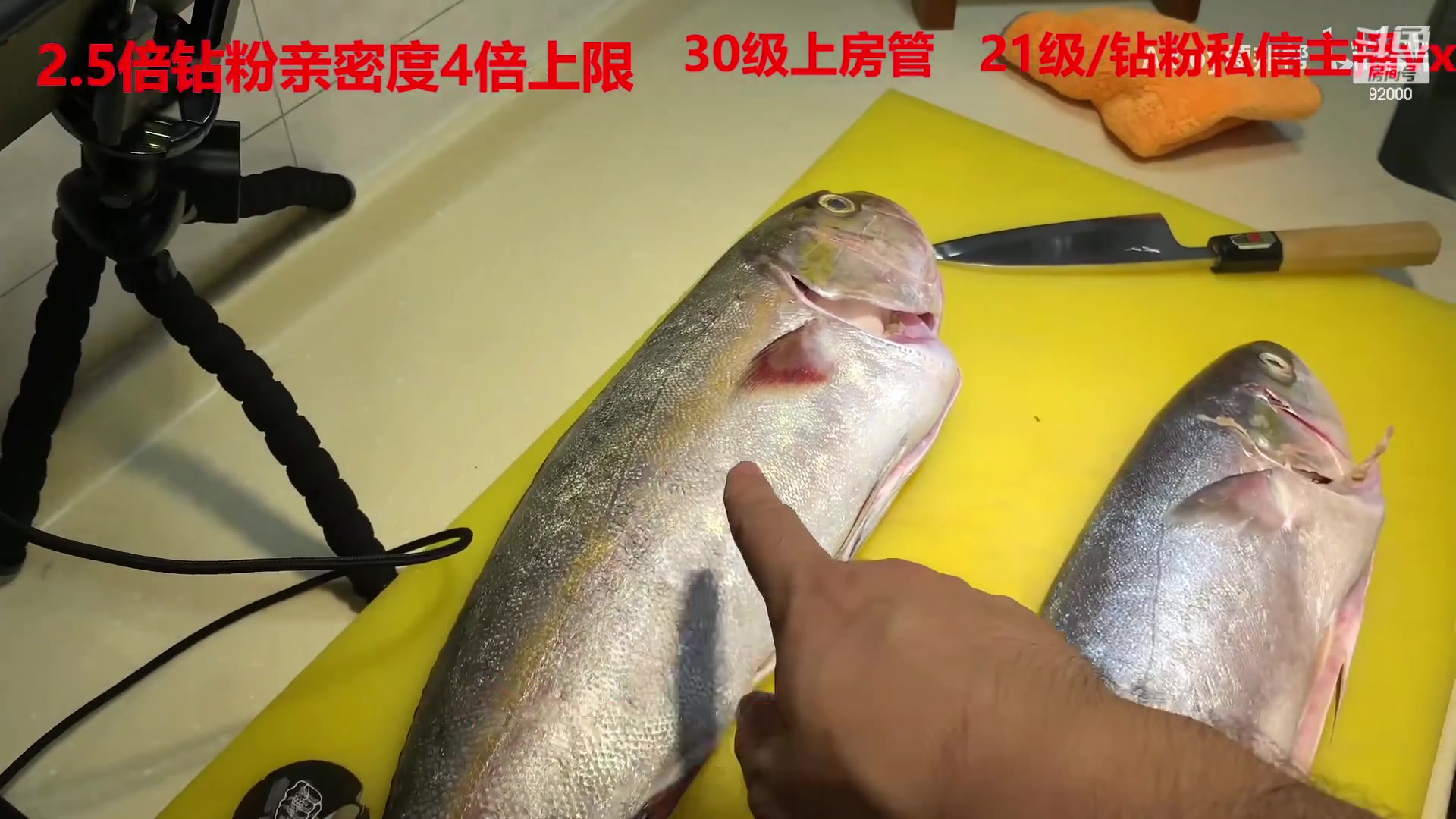【2023-03-12 09点场】呆妹儿小霸王：【钻粉2.5倍 】：一起see
