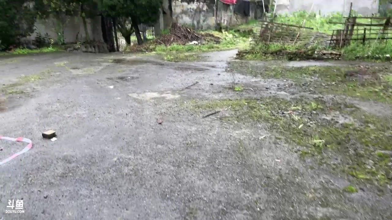 【2023-03-12 16点场】阿福Afuuu：勇敢者游戏Day2 1967734