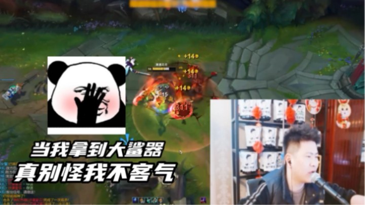 为什么我的锐雯被称之为遮羞布？