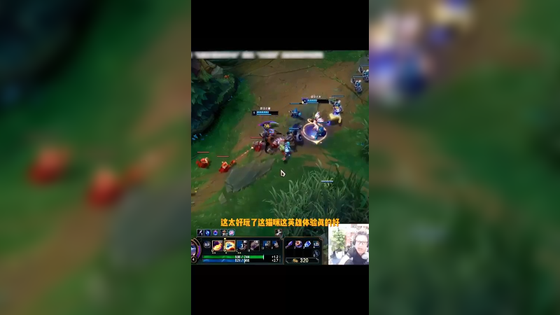 唯一的T0辅助，猫咪！