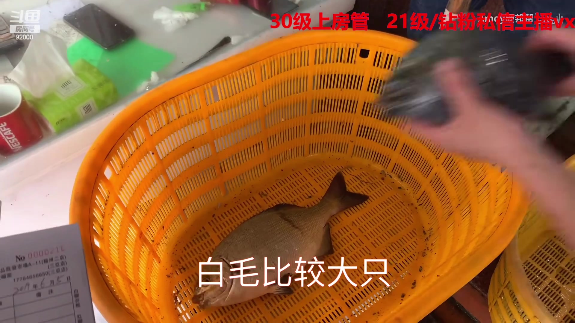 【2023-03-13 03点场】呆妹儿小霸王：【呆妹】：一起see