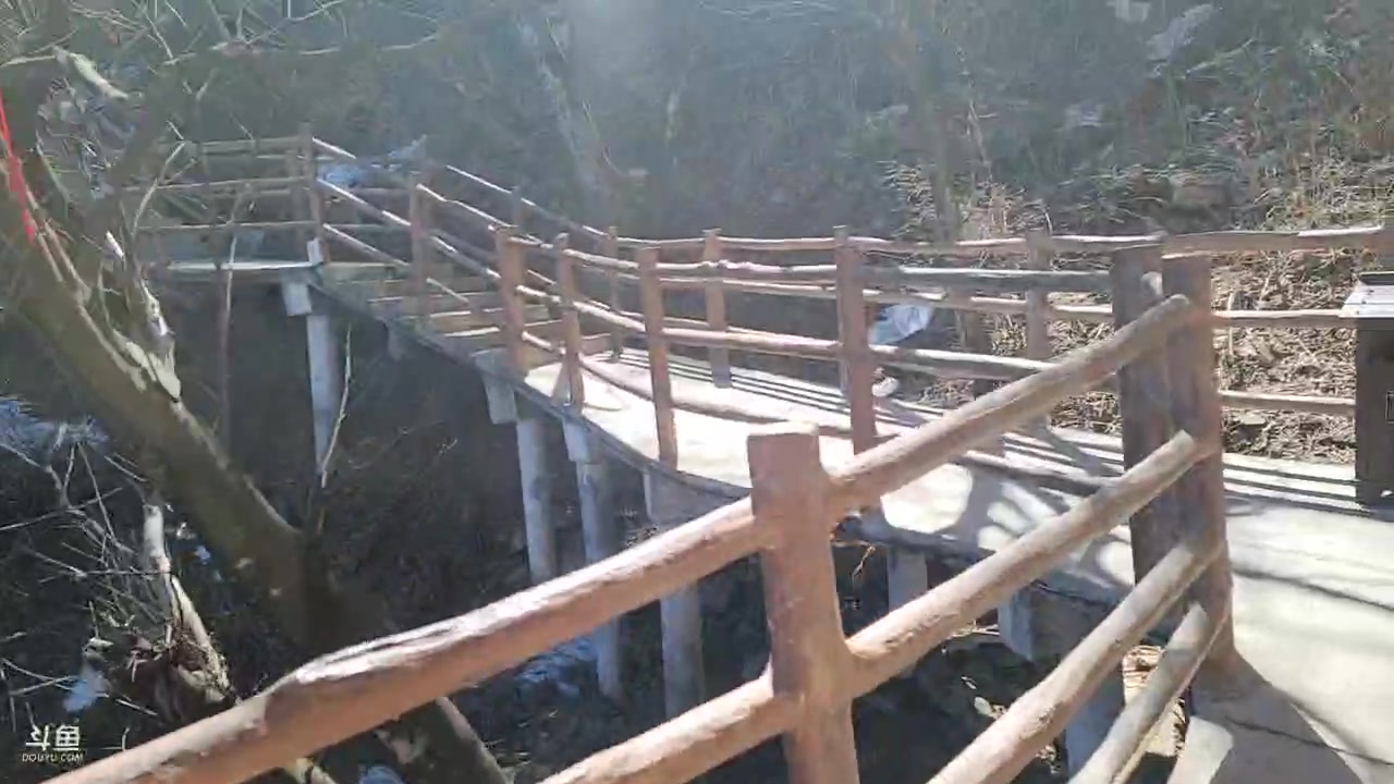 【2023-03-13 12点场】火力堂主：老君山我们来了！