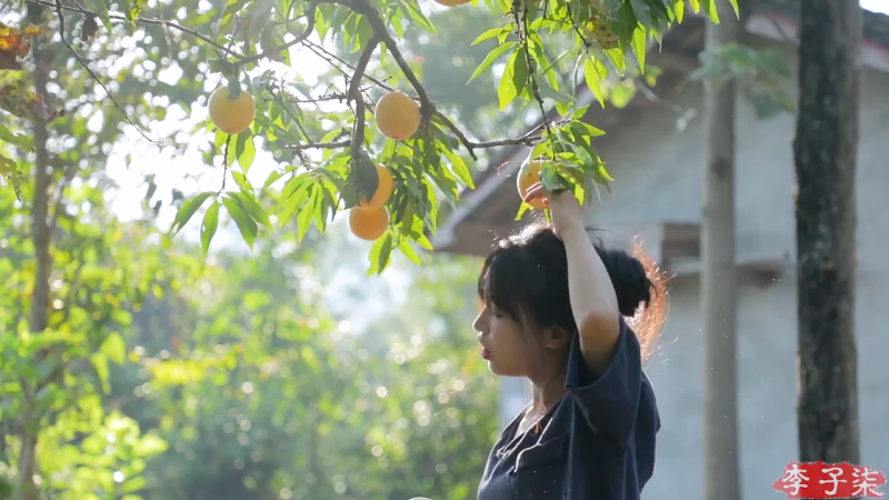 【美食】李子柒liziqi的精彩时刻 20230313 01点场