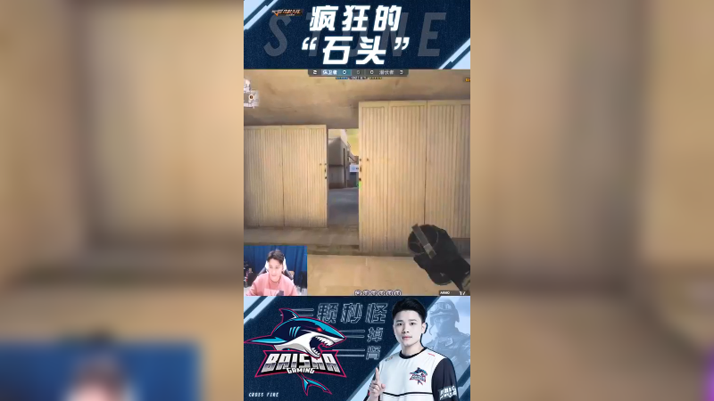 小小五鲨一下啦