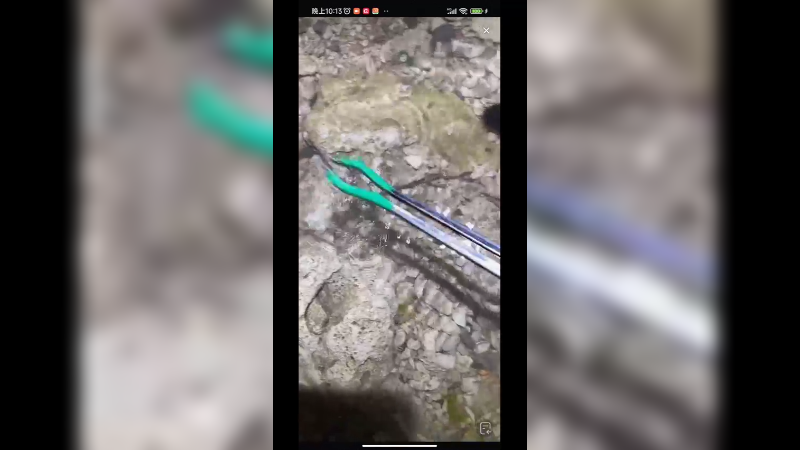 小伙晚上在海边赶海，海参到处都是，真赚钱啊