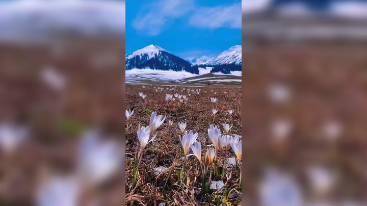 旅行，是一种心态，一种对山川流水和瑰丽文化的痴迷