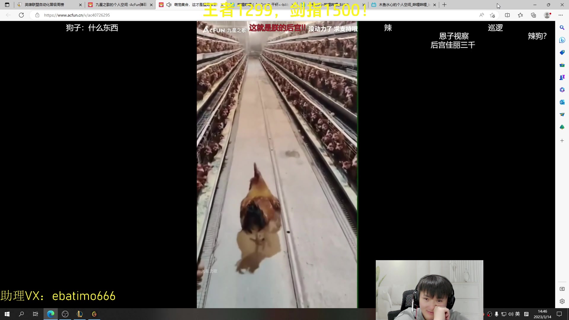 【2023-03-14 14点场】恶霸提莫：第一提莫，拿到提莫=赢！